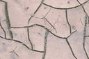 GEO.Others.argilla fessurata